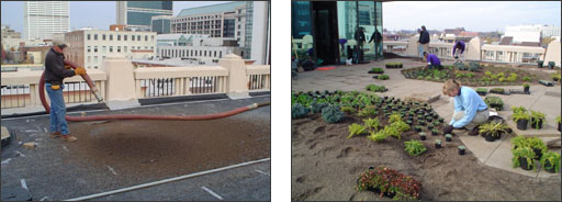 Green Roof Drainage