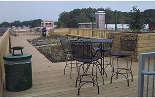 AP Lofts Green Roof