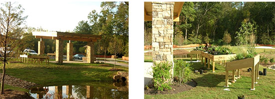 Park Green Roof