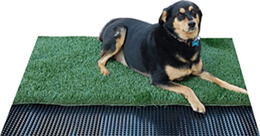 Pet Turf Drainage